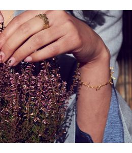 Fennel 'Kissing Seed' Bracelet