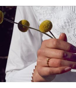 Seed Pod & Champagne Diamond Ring